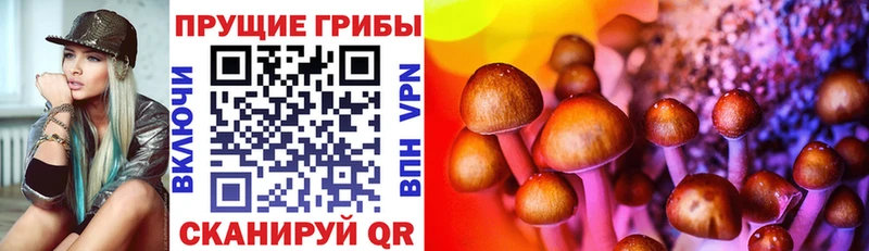 shop как зайти  Обь  Псилоцибиновые грибы GOLDEN TEACHER  где купить наркоту 